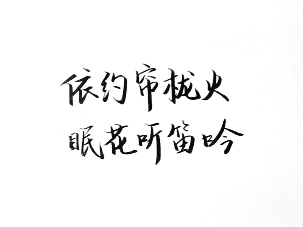 1747555877442.jpg
