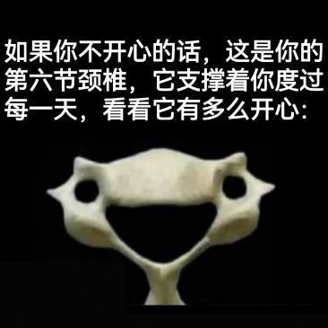 1740913407419.jpg