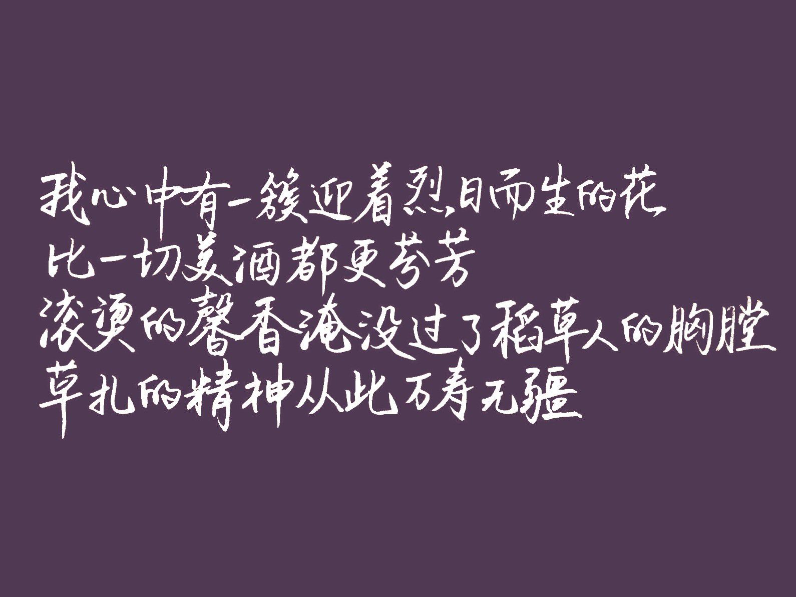 1747370432380.jpg