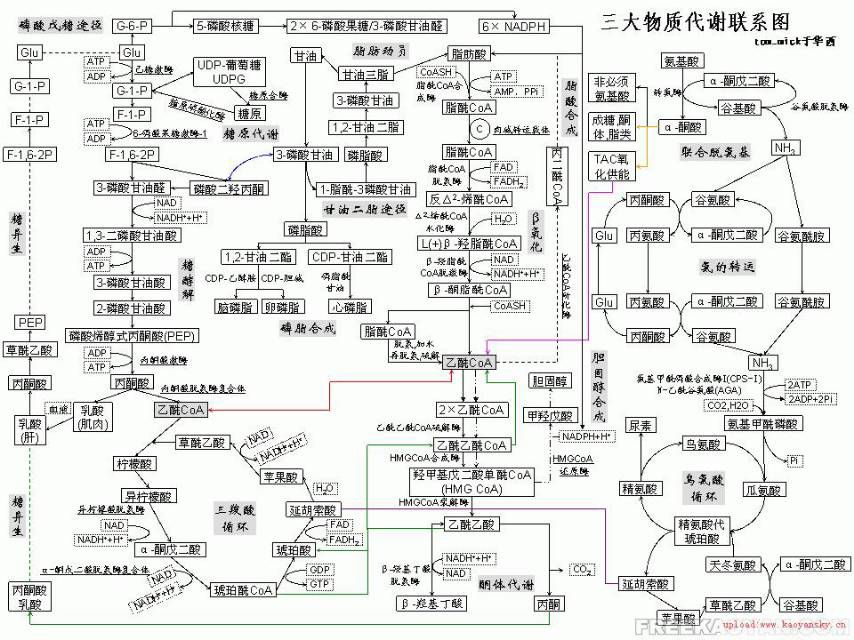 1722742244127.jpg