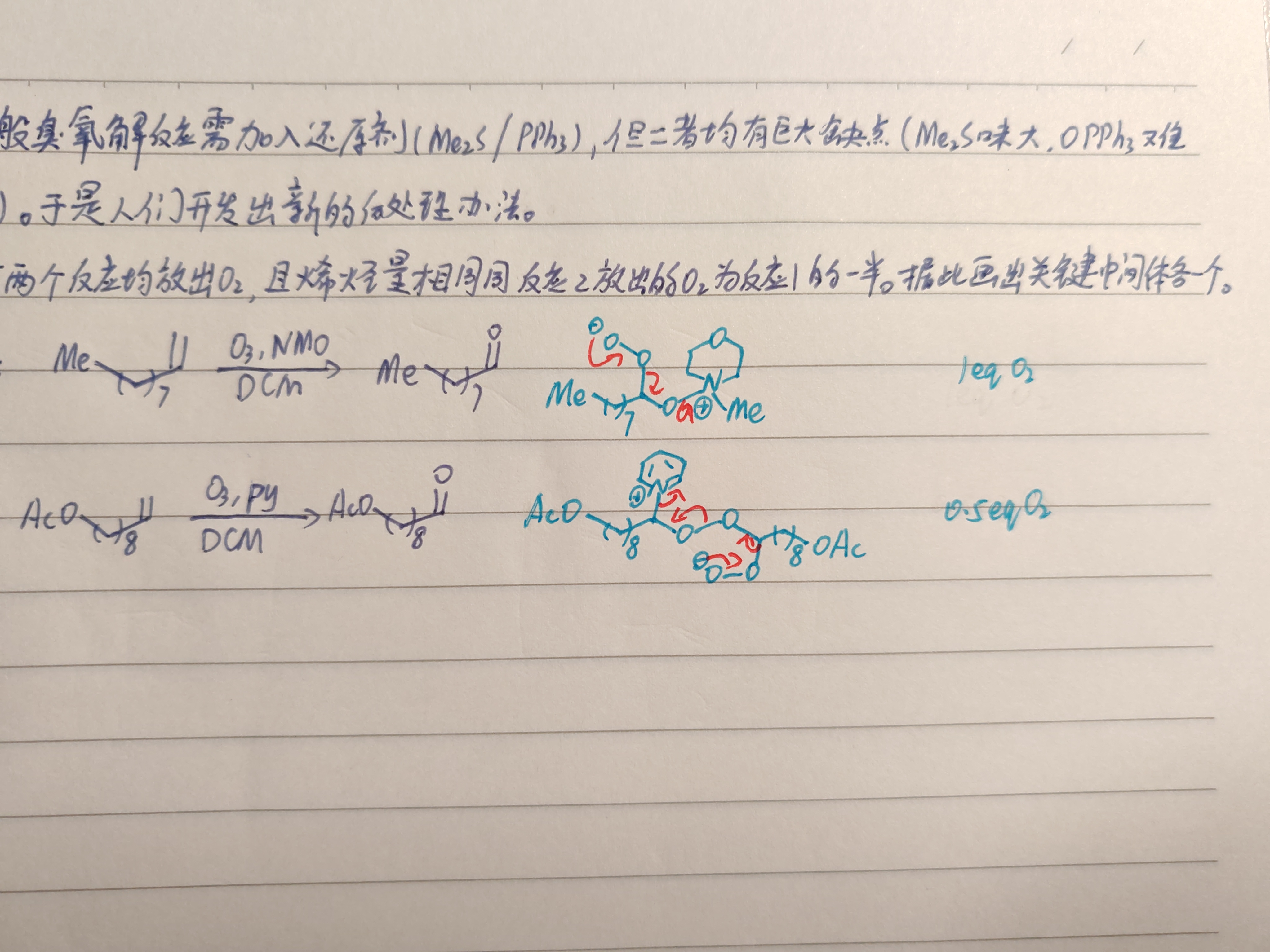 1749553100239.jpg