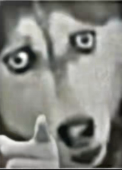 Screenshot_20250609_060425_tv.danmaku.bili_edit_4709735526884.png