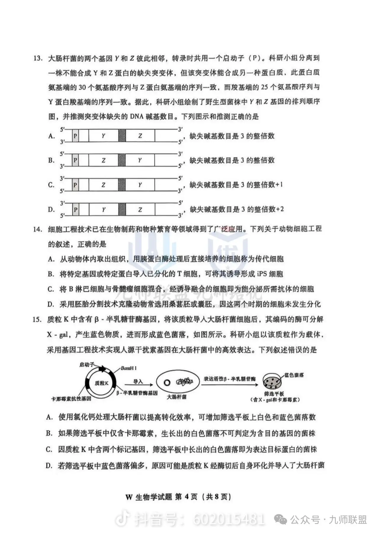share_0365f943e810a99b90c031686431fc0a_070247.png