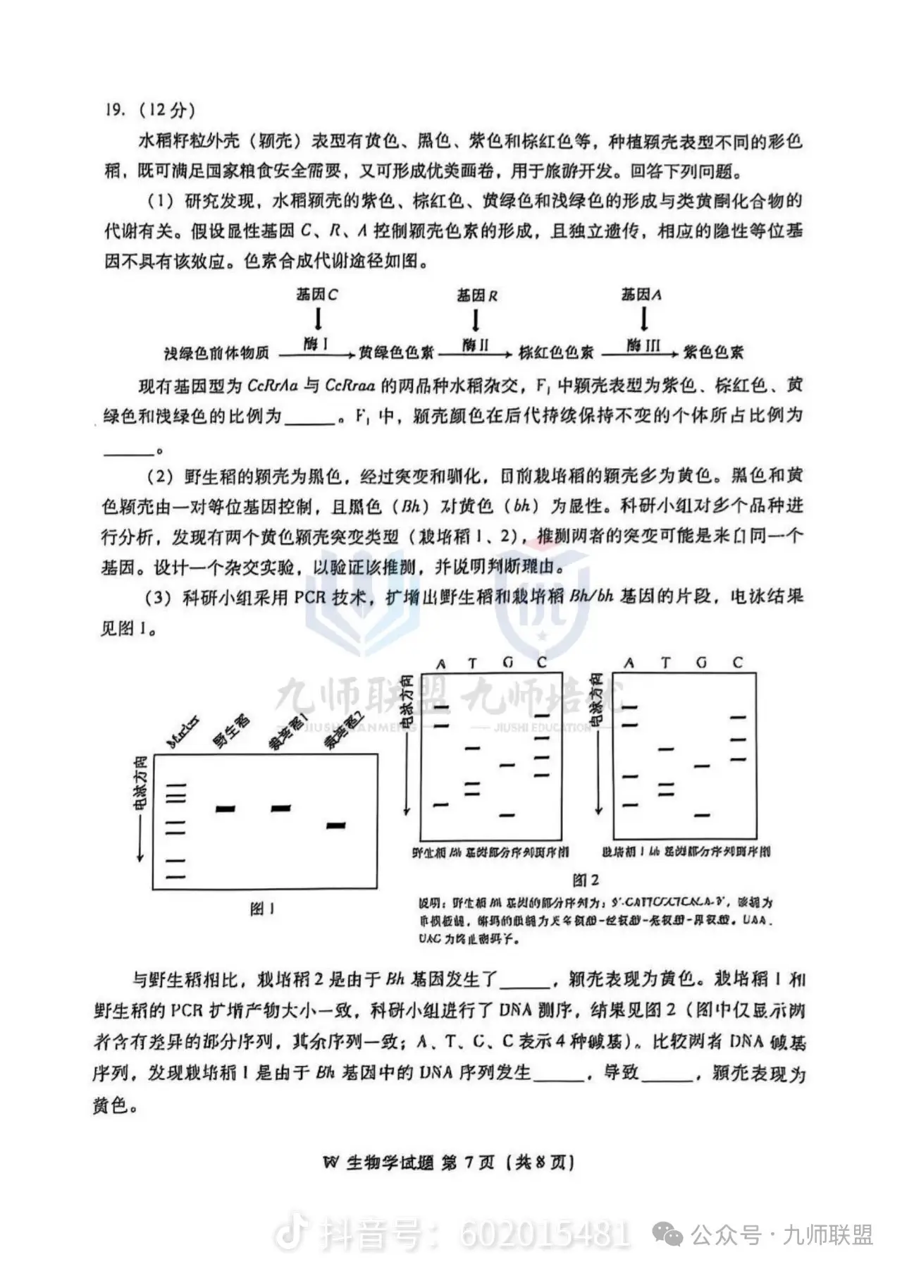 share_3f07aa5508e24790bfe441eae767f239_070243.png