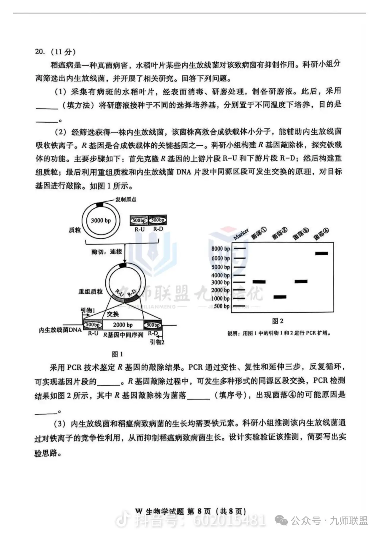 share_7e80759f36c8630542675d0ed4312294_070238.png