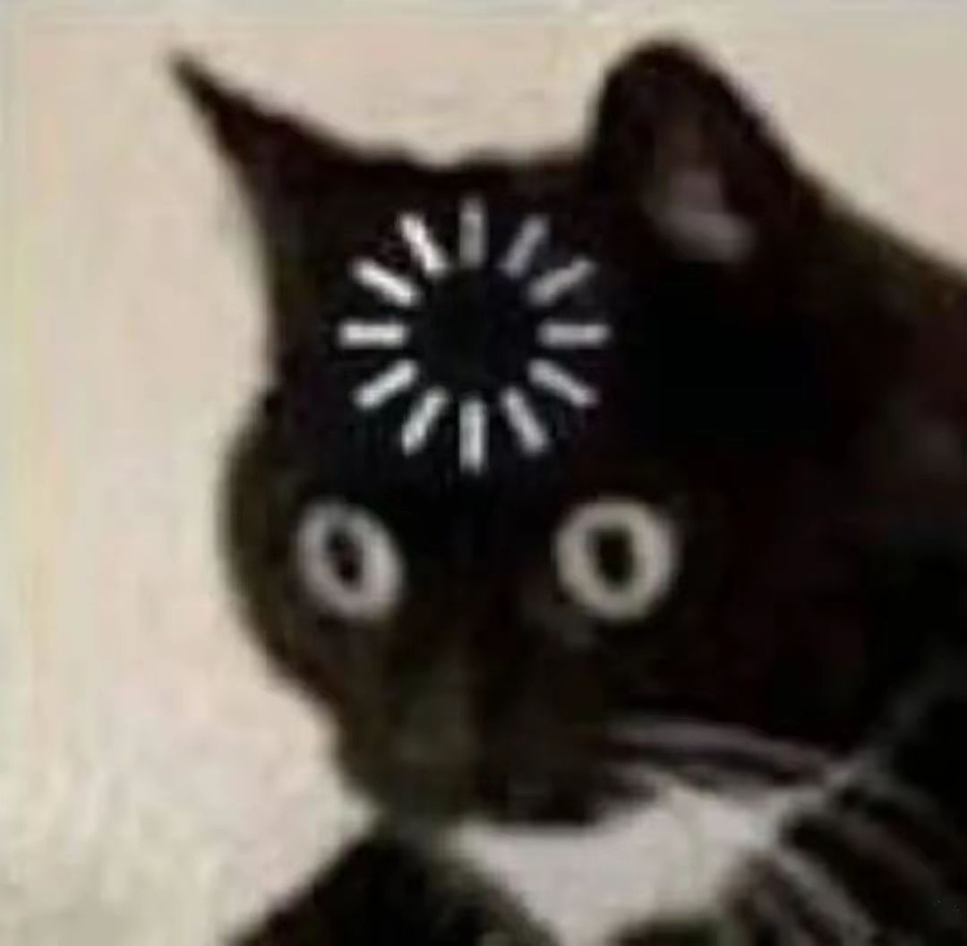 1748138883091.jpg