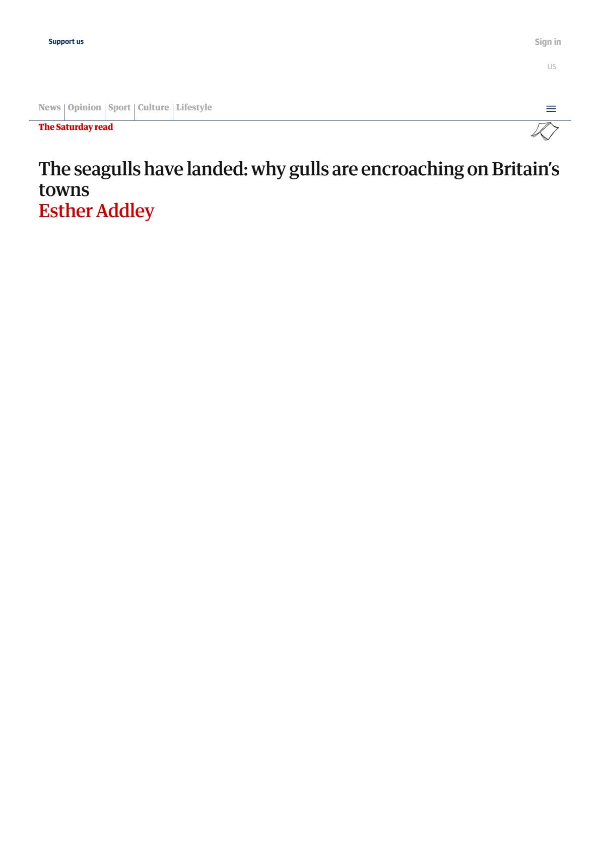 The seagulls have landed_ why gulls are encroaching on Britain’s towns _ Birds _ The Guardian(1).jpeg