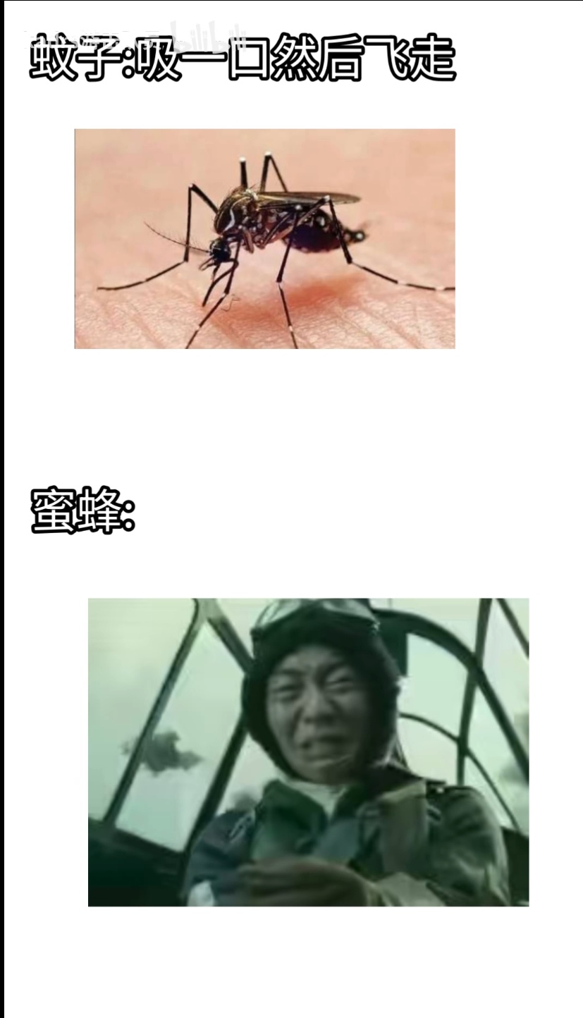 Screenshot_20250626_195004_tv.danmaku.bili_edit_19016278243972.jpg
