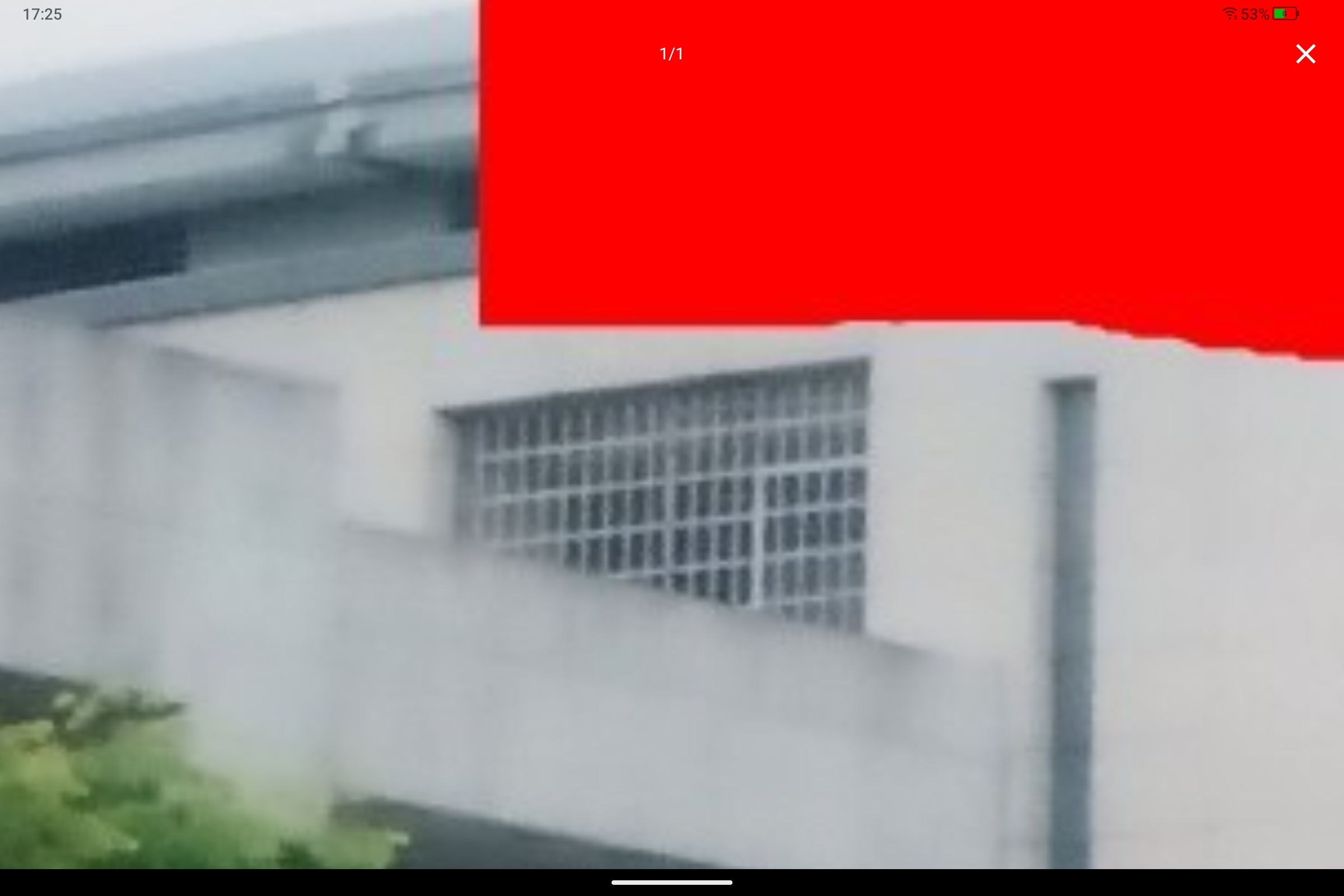 Screenshot_2025-07-02-17-25-44-205.jpg