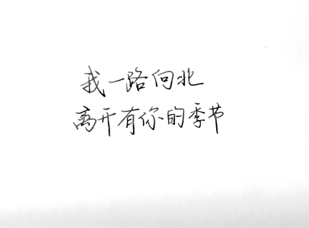1751418756489.jpg