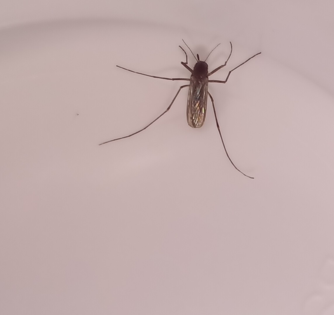？未知生物.jpg