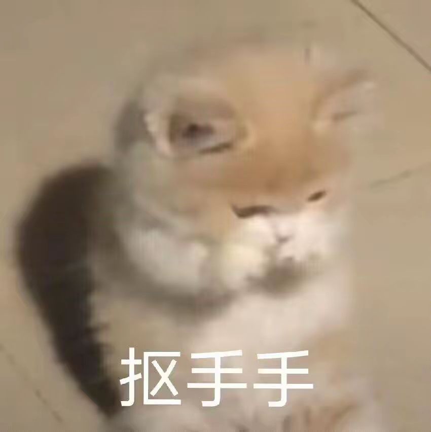 1752737521072.jpg