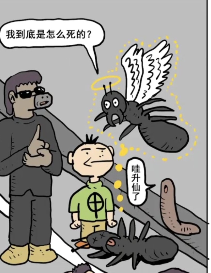 8c77a740-f04b-11ef-90e4-951356ce78bc.jpg