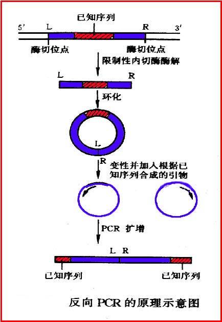 8b82b9014a90f603738dfd09a14aa41bb051f819477e.jpeg