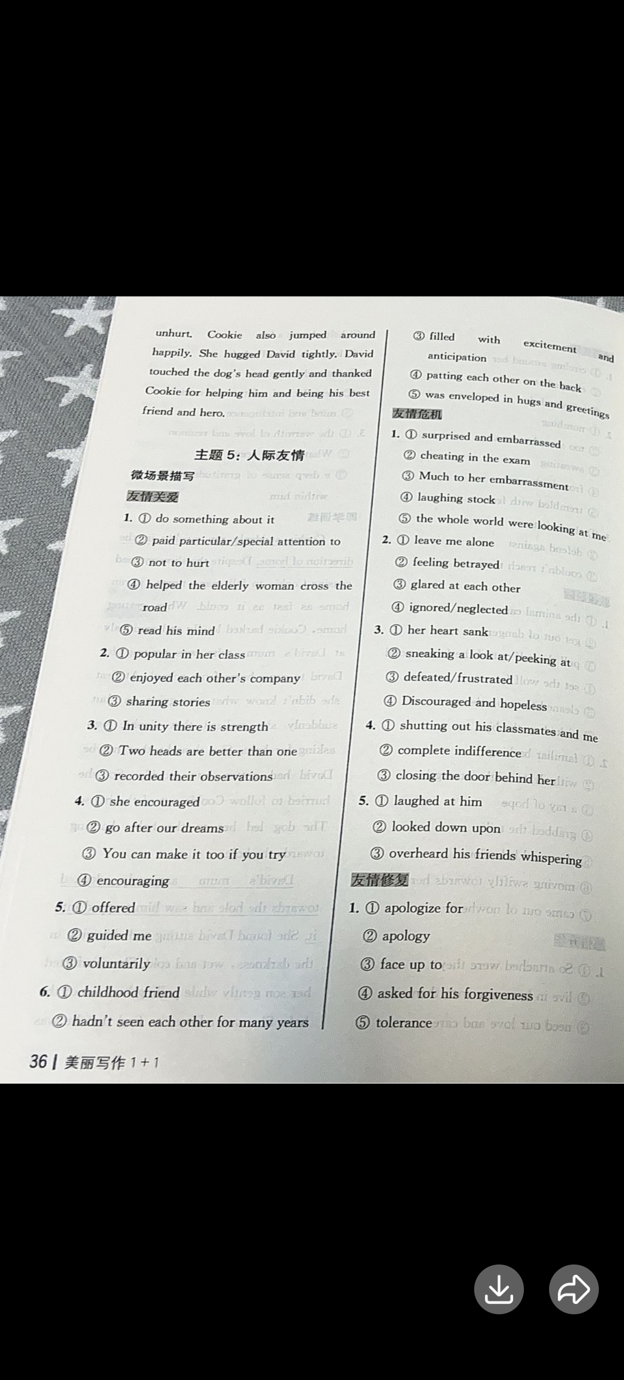 Image_1753007973651.jpg