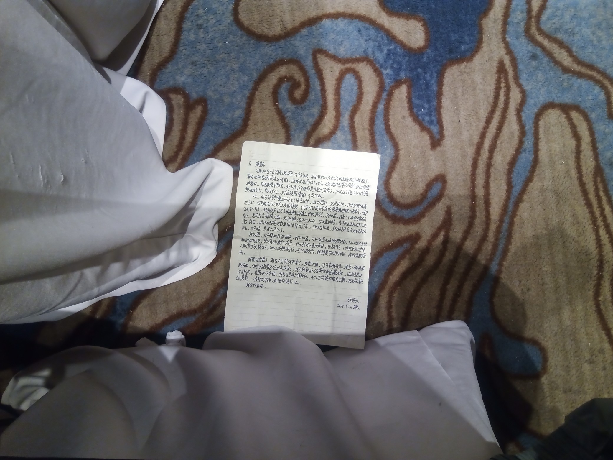 IMG_20250720_200740_507.jpg