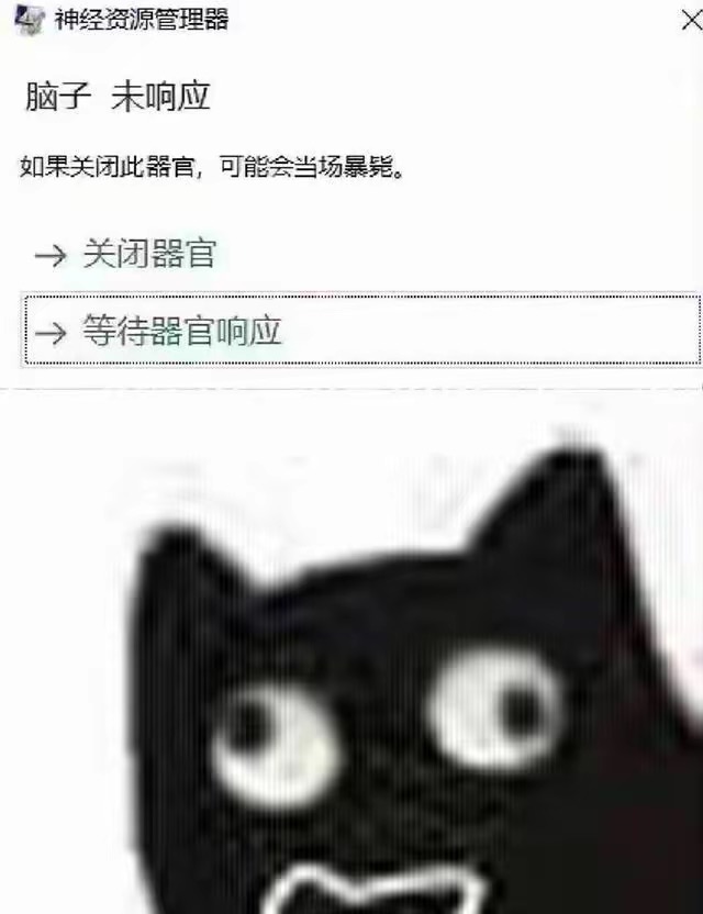 IMG_0191.jpeg