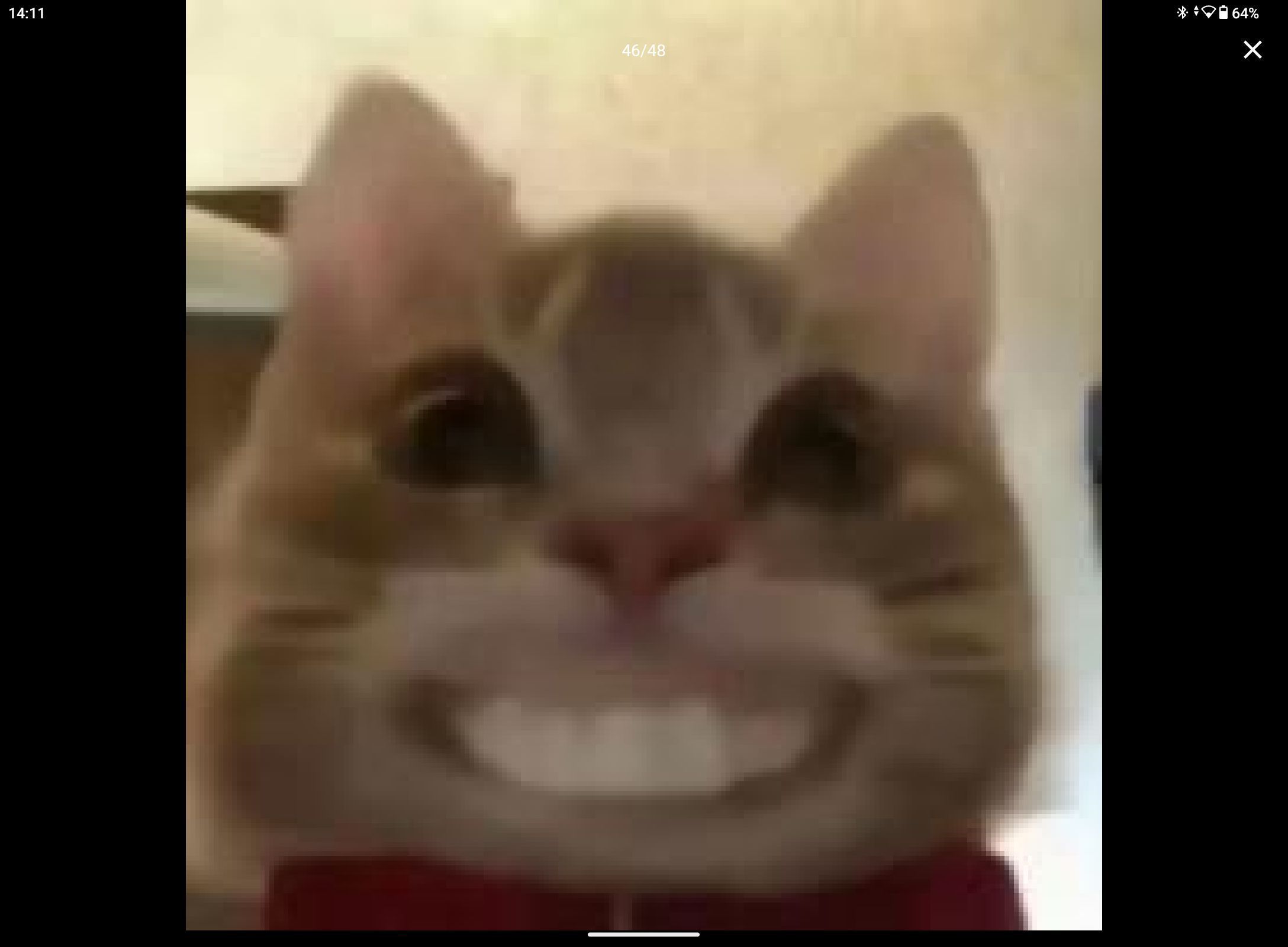 1723096807964.jpg