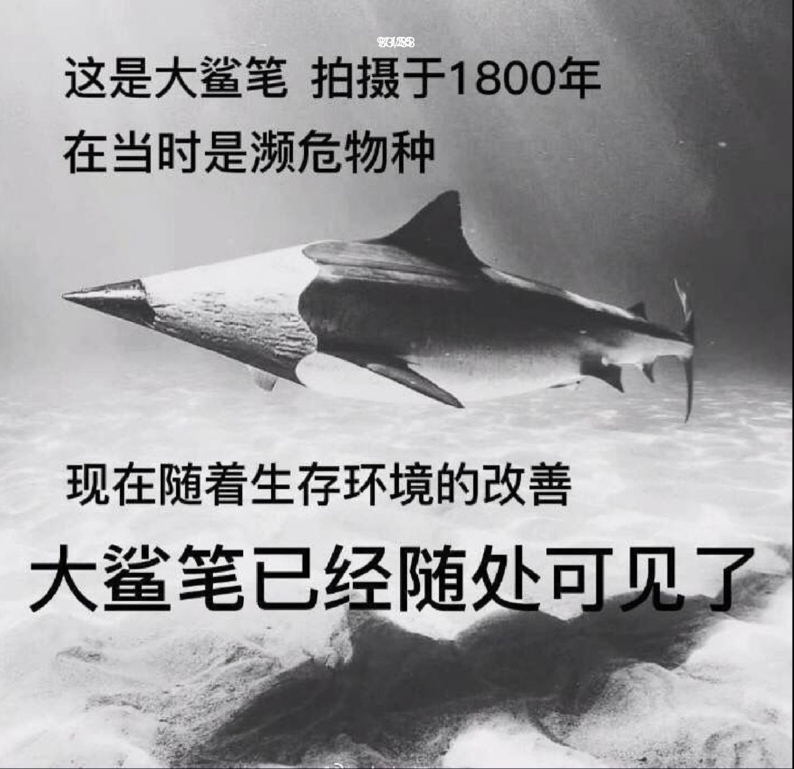 1723096091157.jpg