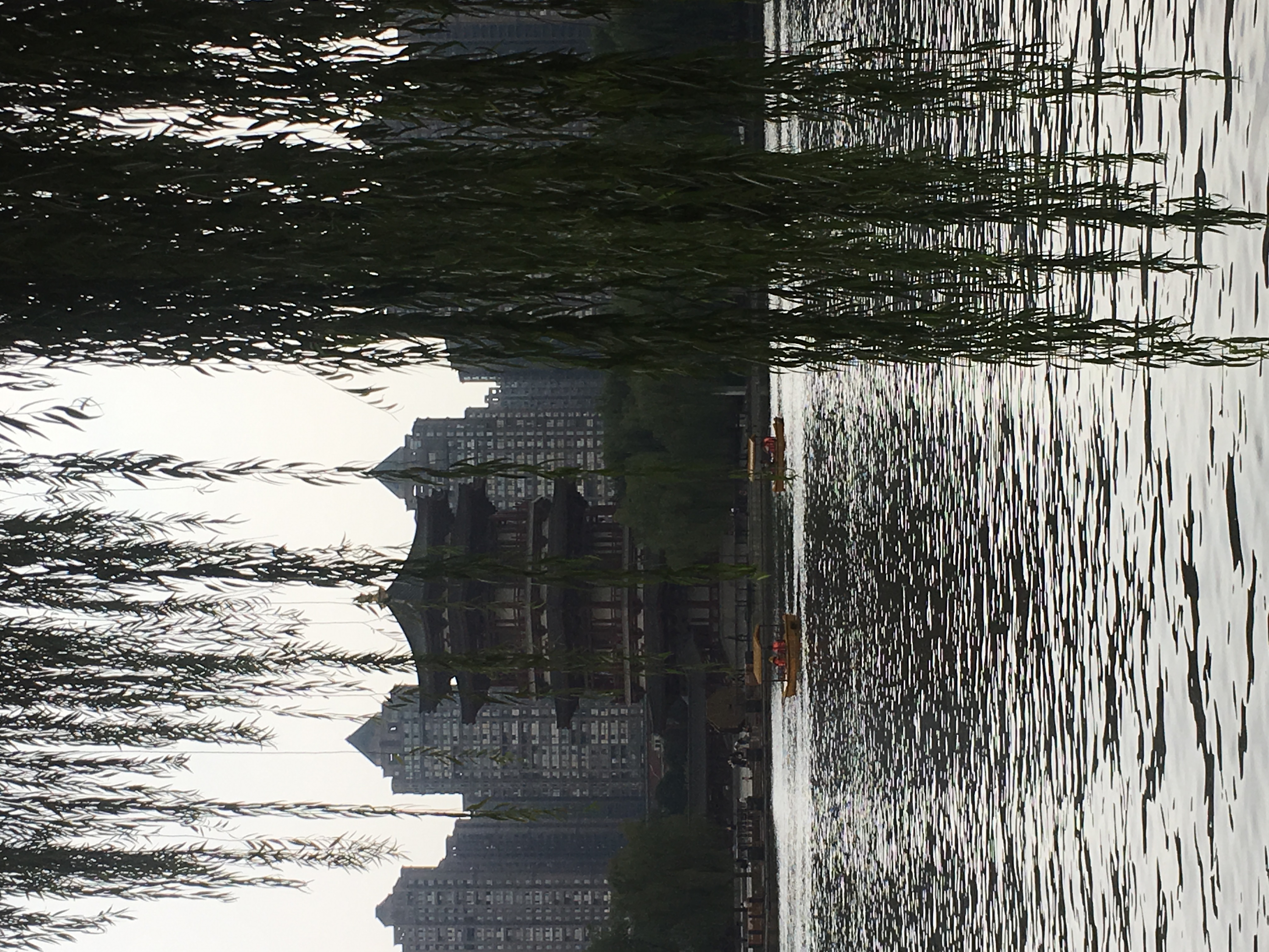 IMG_5221.jpeg