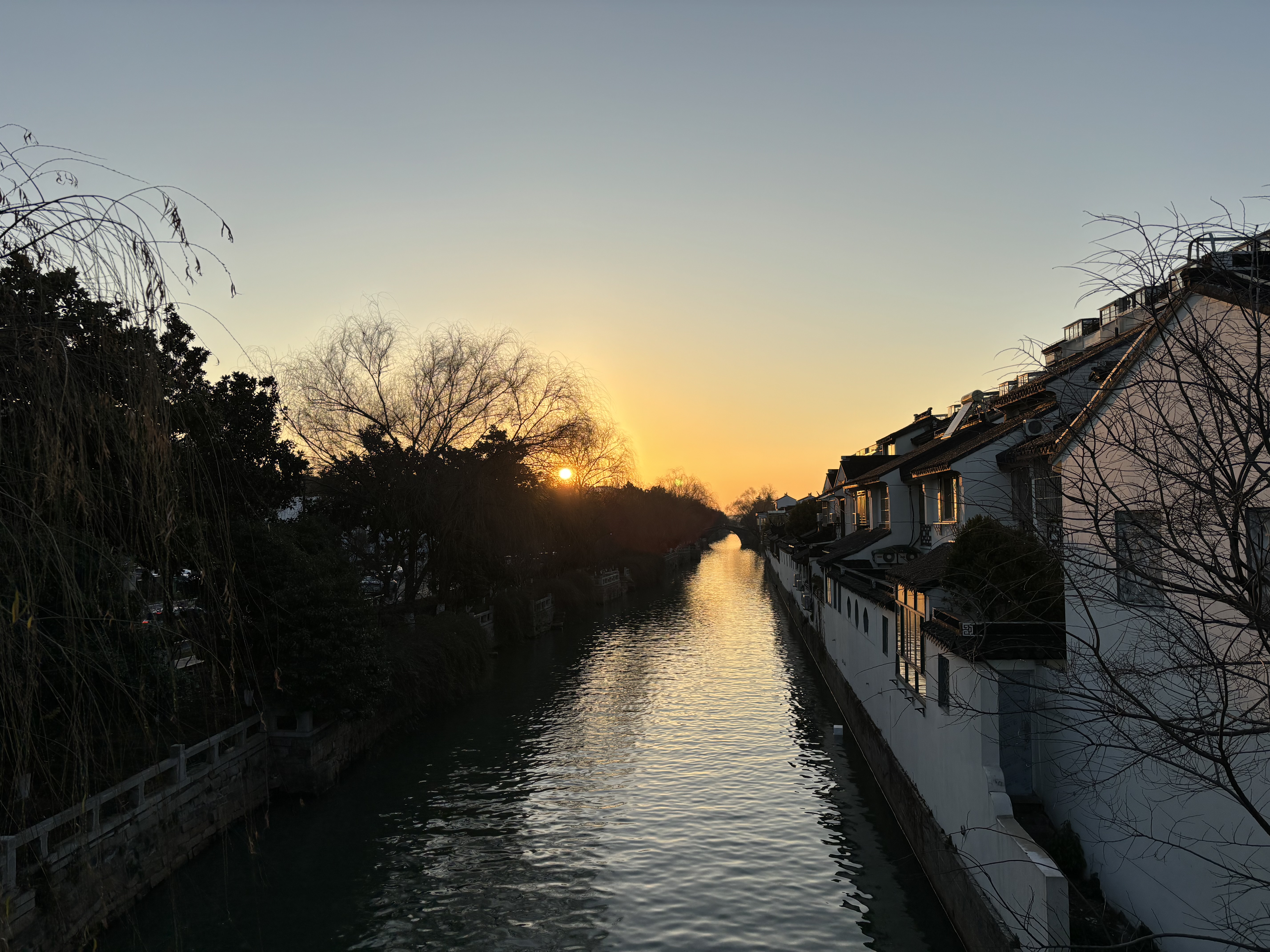 IMG_9887.jpeg