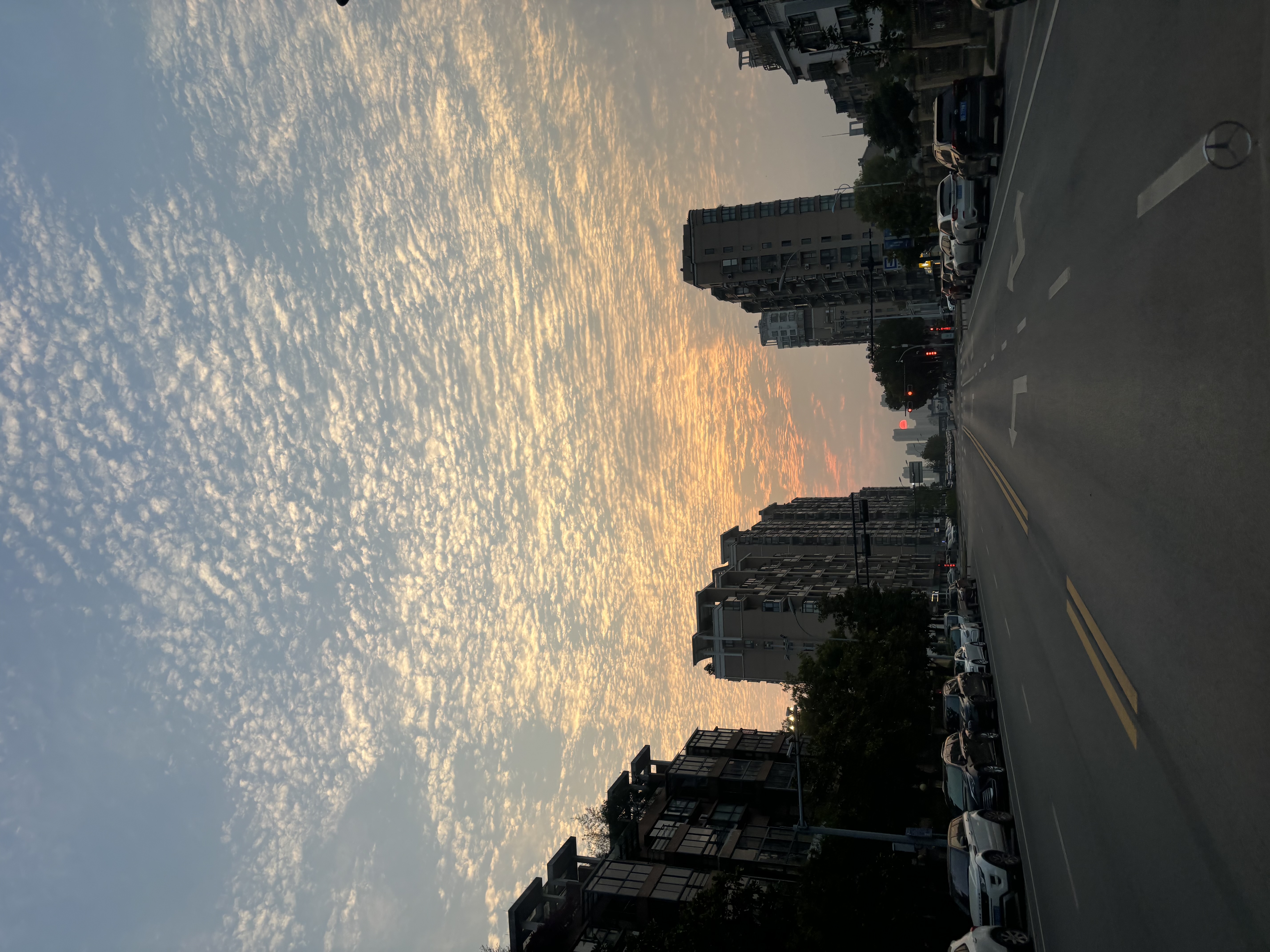 IMG_6465.jpeg