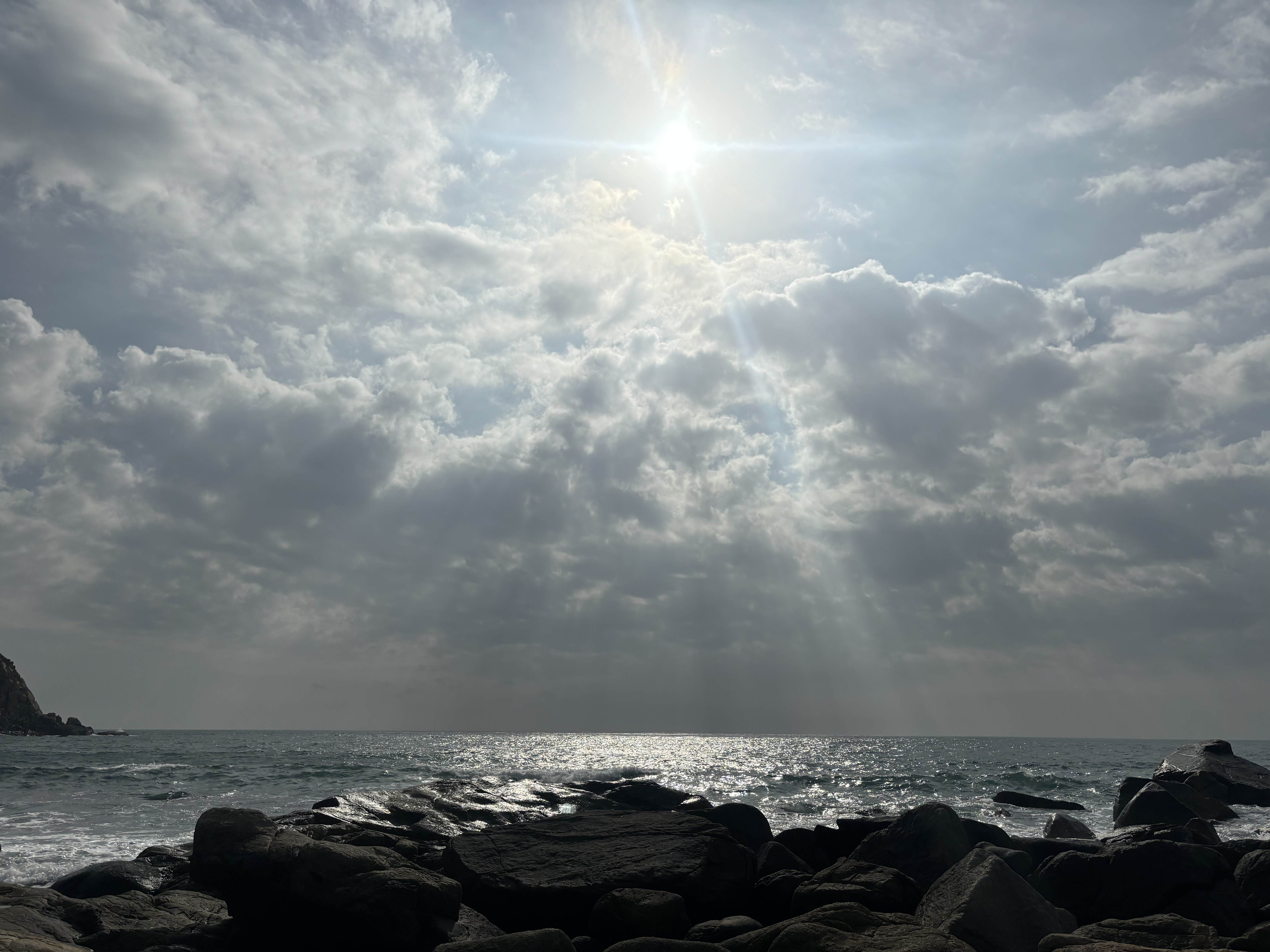 IMG_5131.jpeg
