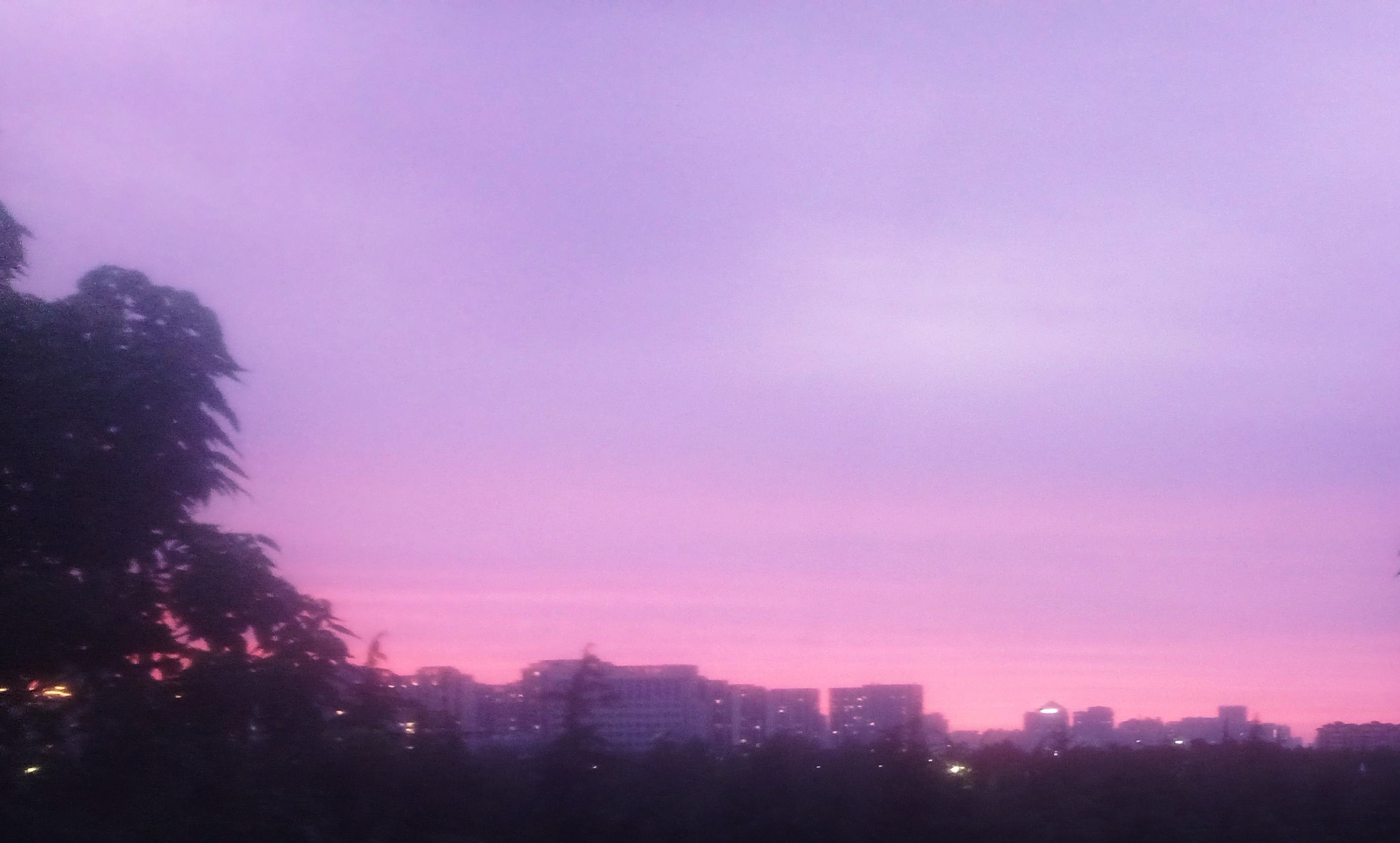 1750828255703_1_1.jpg