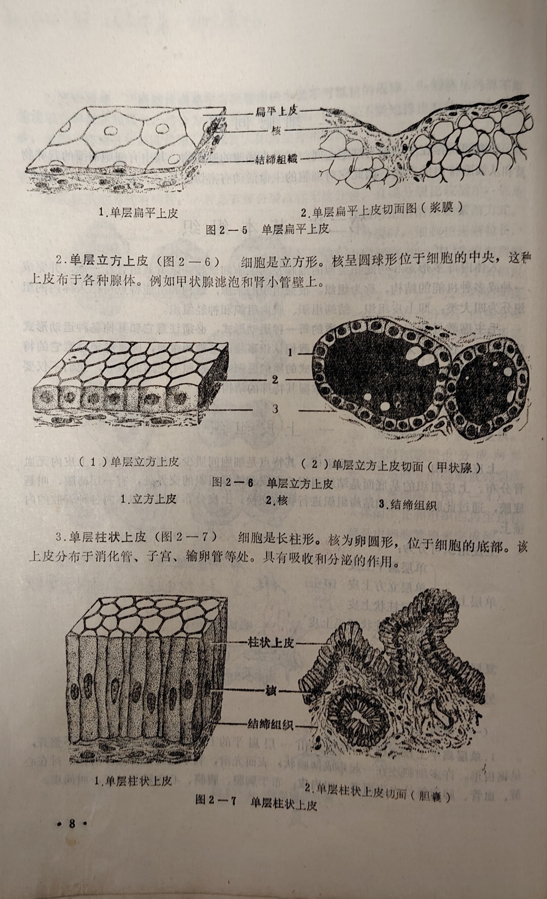 1000111652.jpg