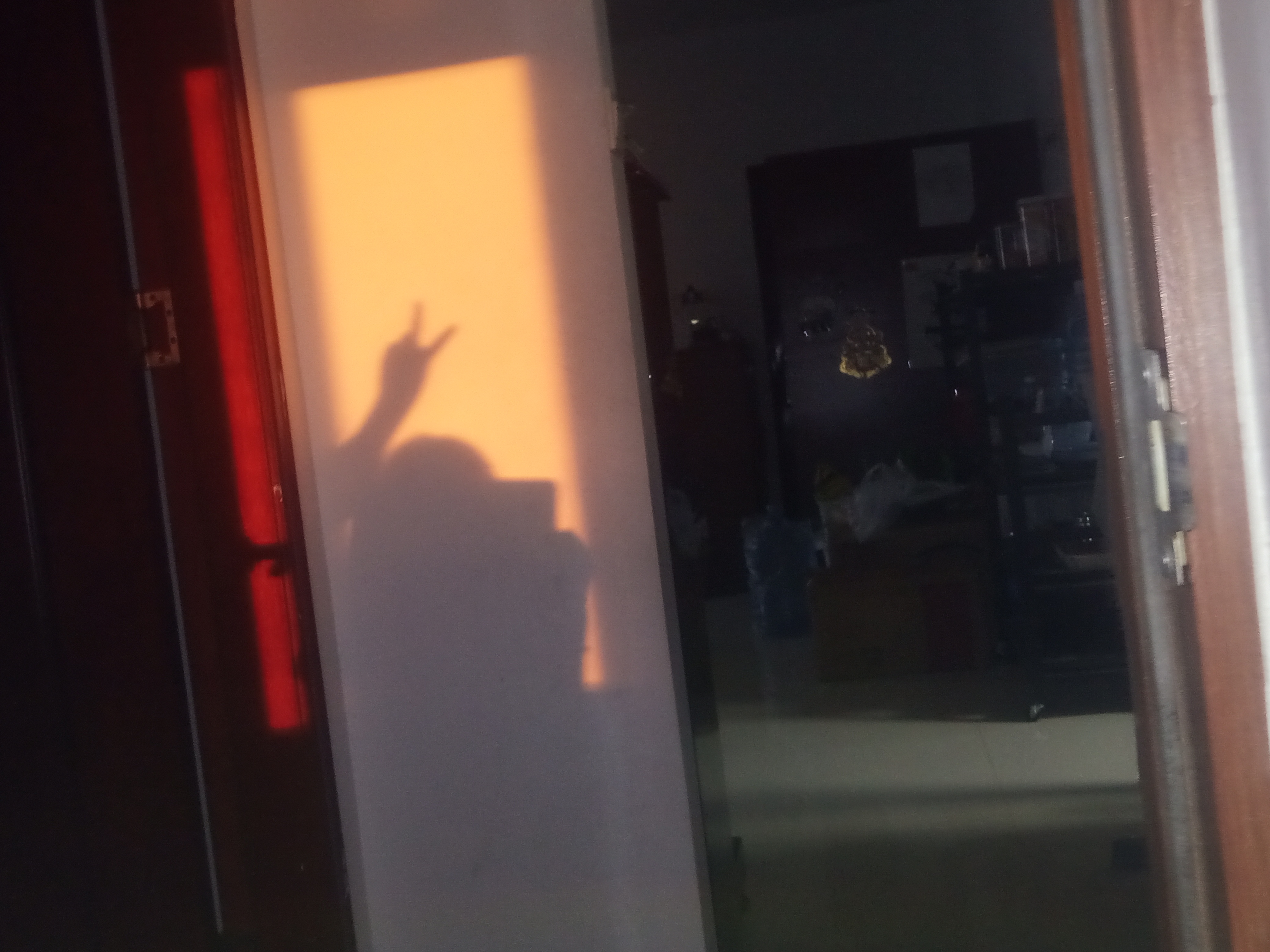 IMG_20250725_185213_300.jpg