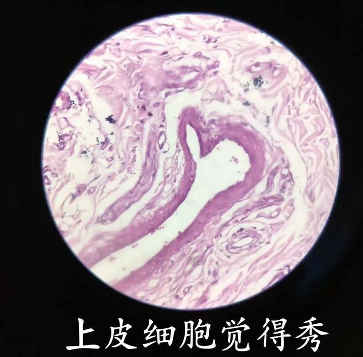 1750775786522_1.jpg