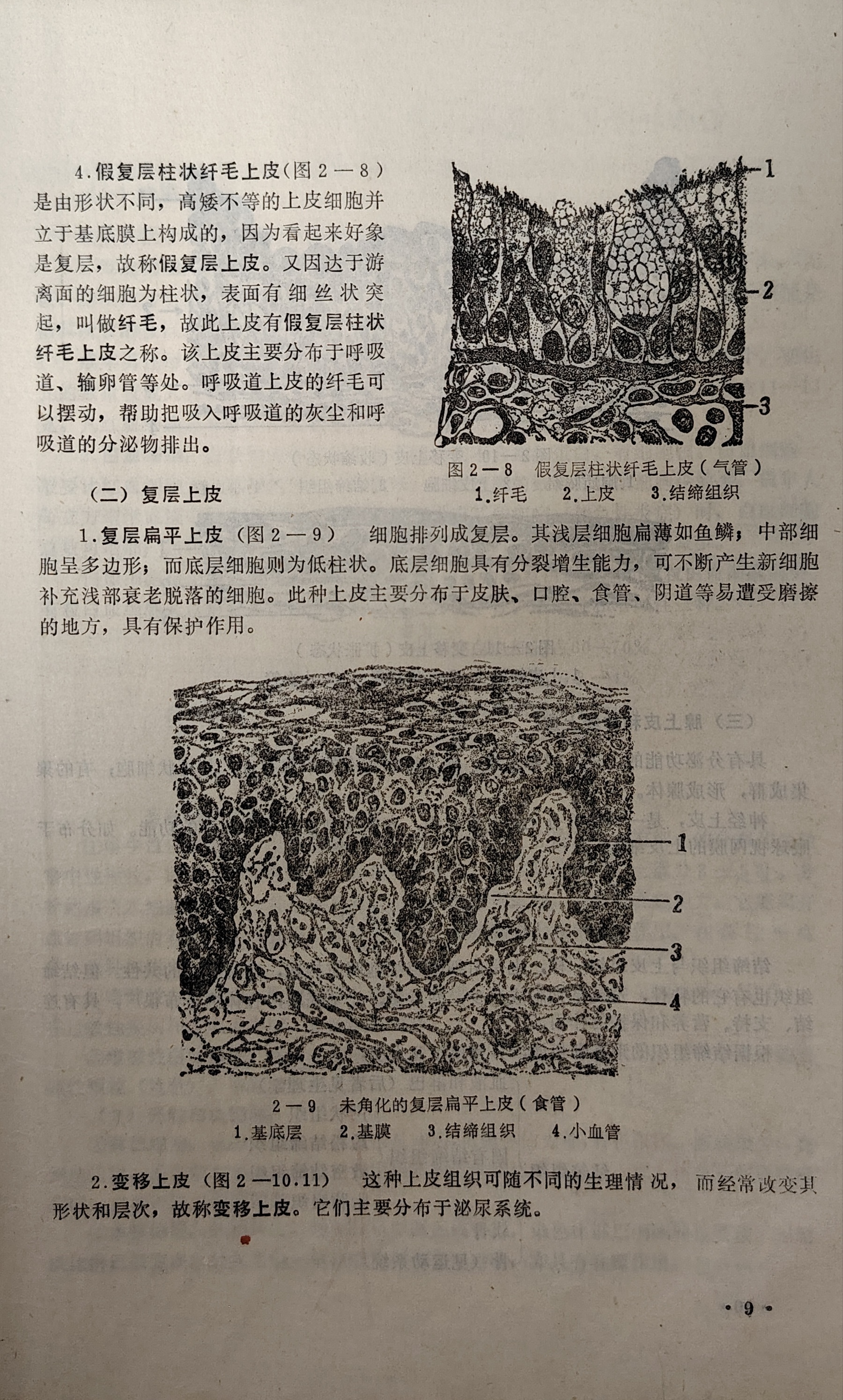 1000111653.jpg