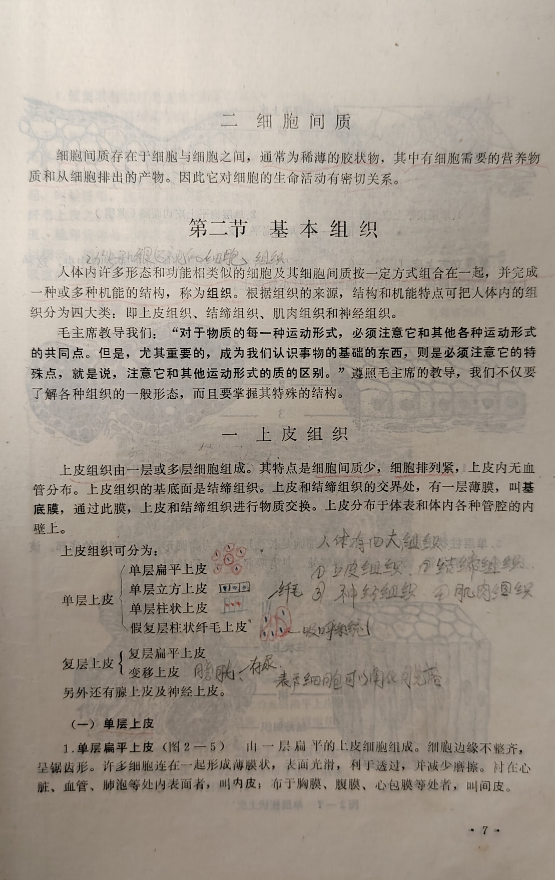 1000111651.jpg