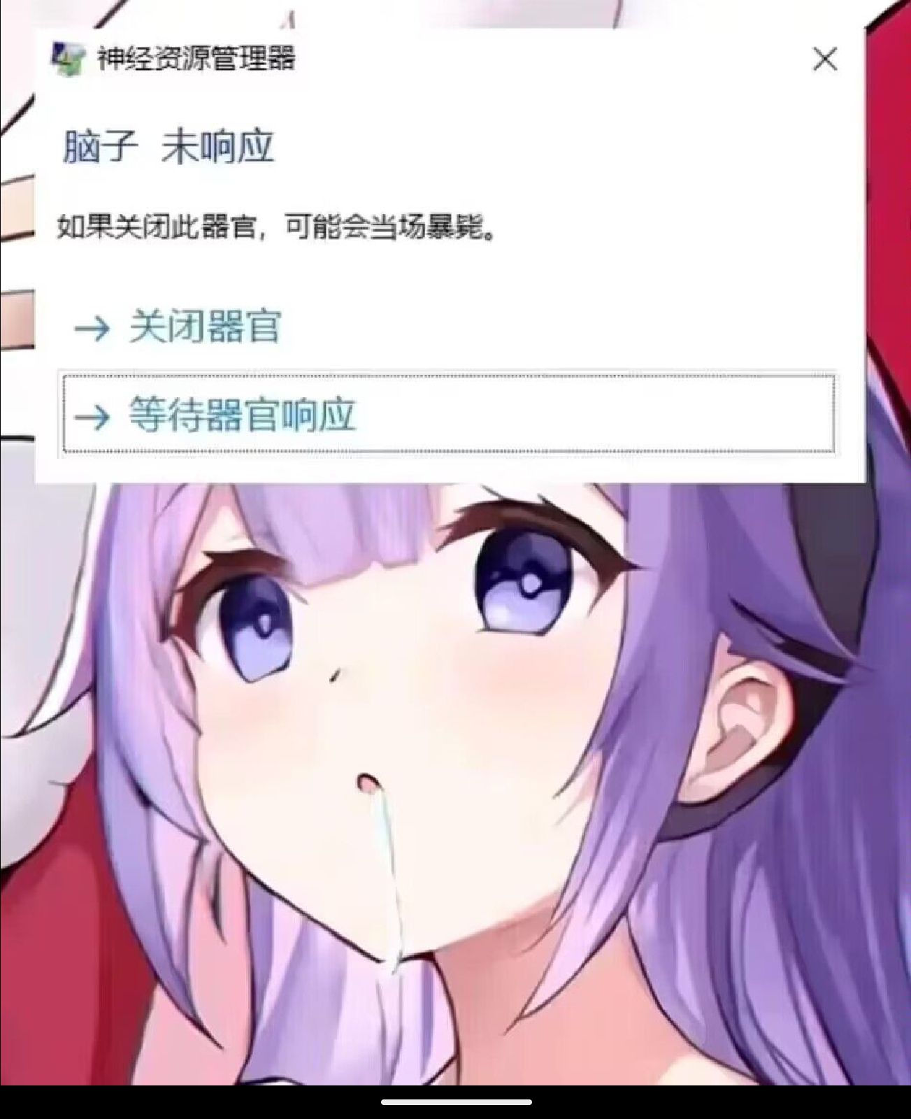 1753272470437.jpg