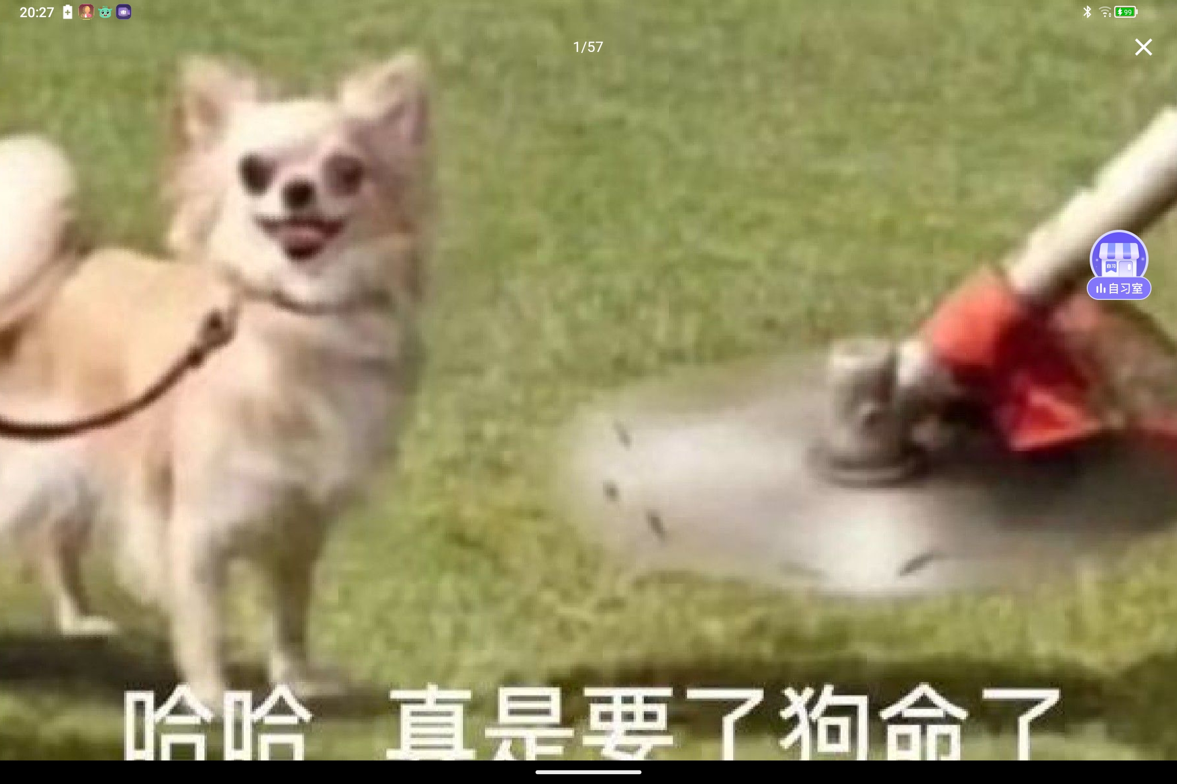 Screenshot_2025-06-29-20-27-58-141.jpg