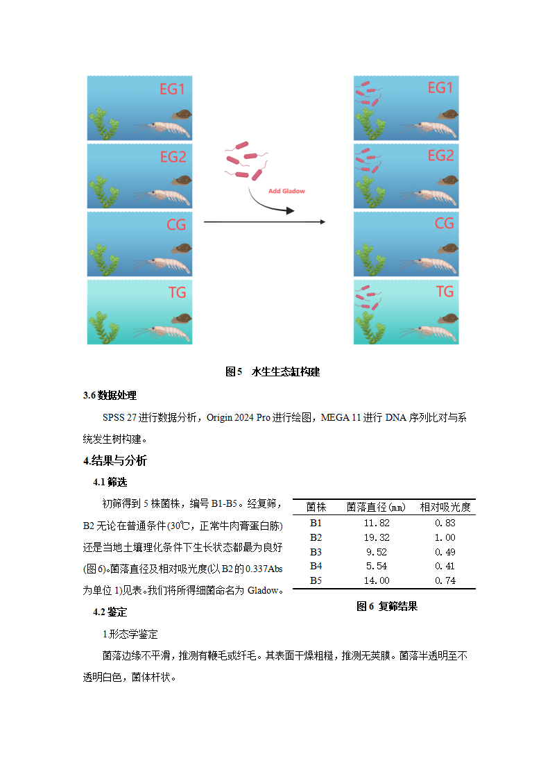 基于南京市江心洲环境适应性微生物菌剂的生态修复研究-张煦_06.png