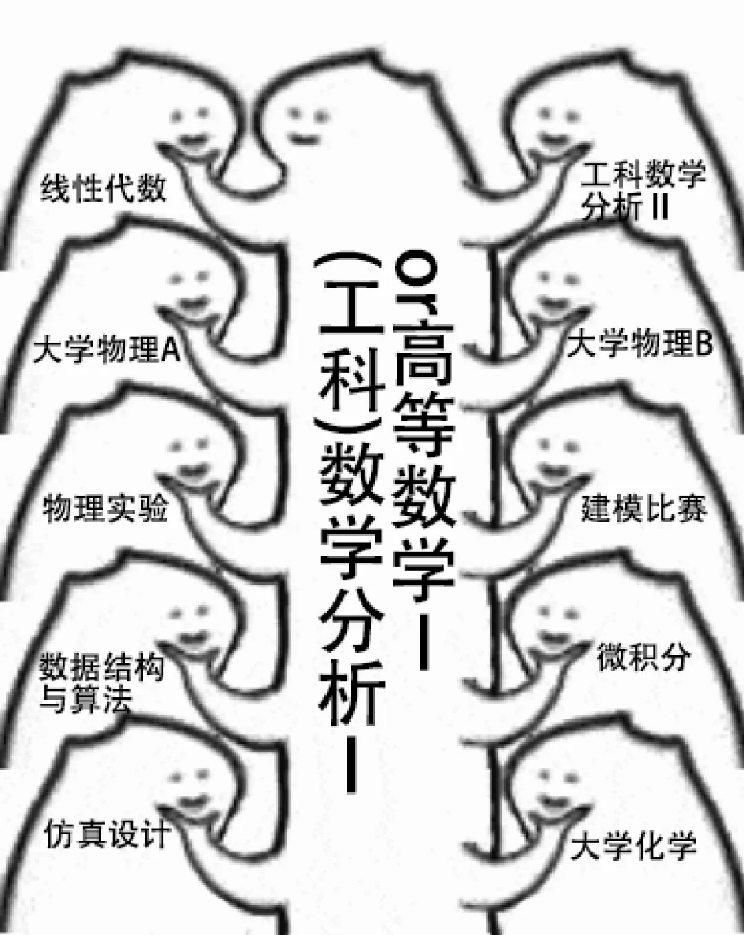 IMG_5050.jpeg