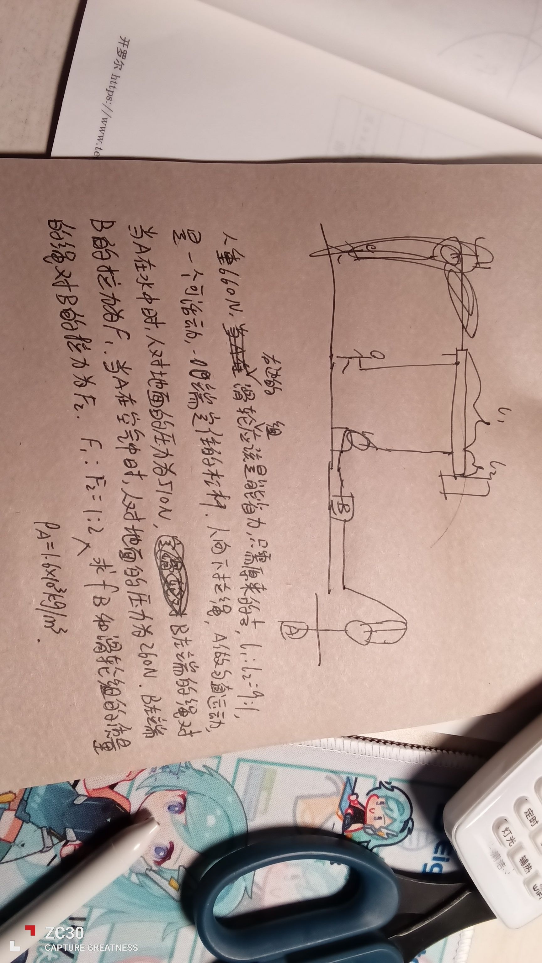 1753975531124.jpg