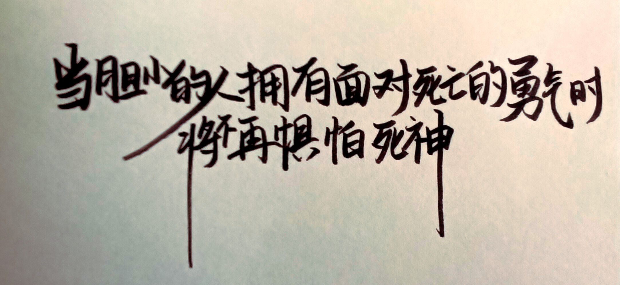 1754391965397.jpg
