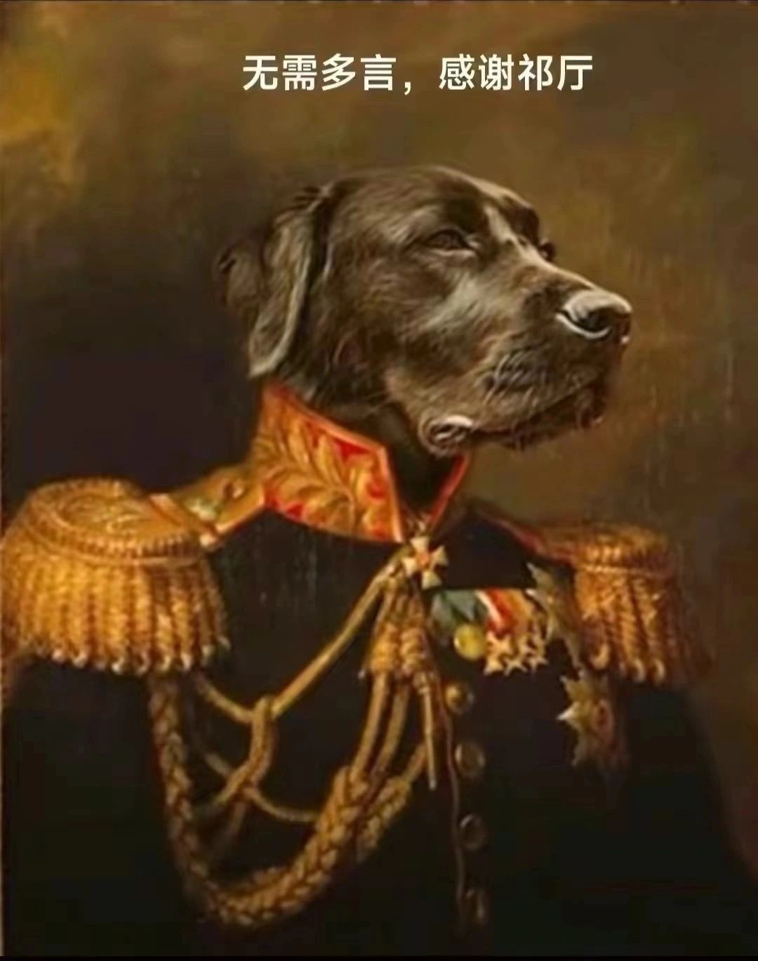 1752559789961.jpg