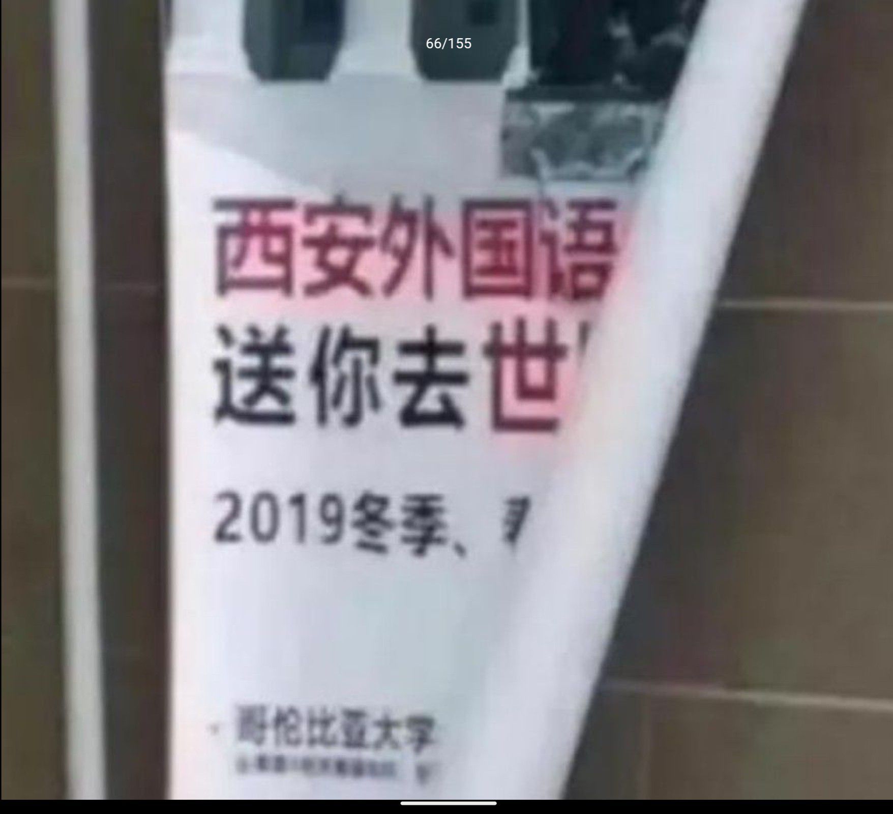1741413929539.jpg