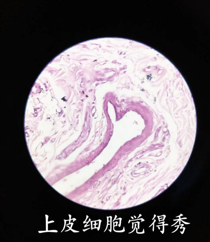 1721113006372.jpg