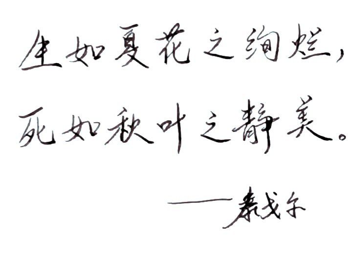 1749309612507.jpg