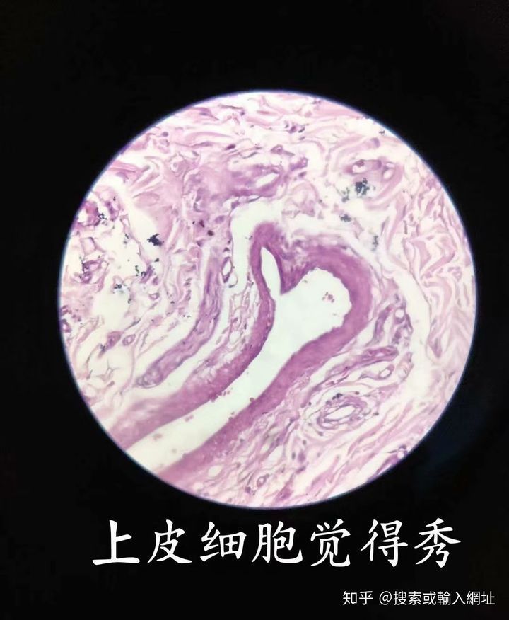 1754586387377.jpg
