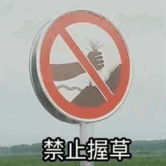 1754367615117.jpg