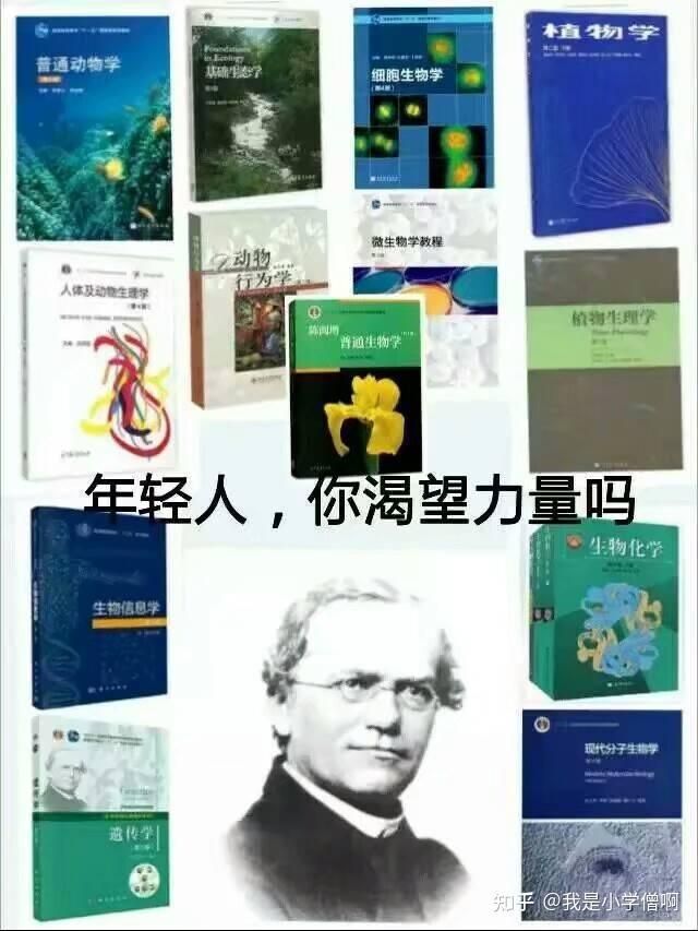 1754677652439.jpg