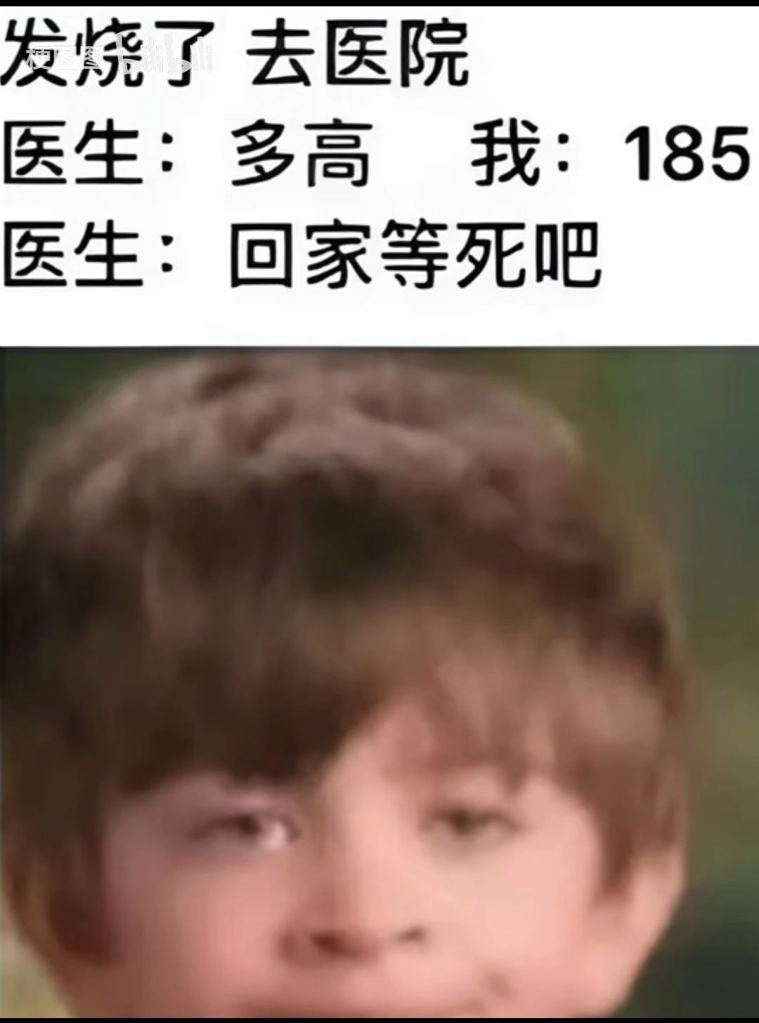 1741502828515.jpg