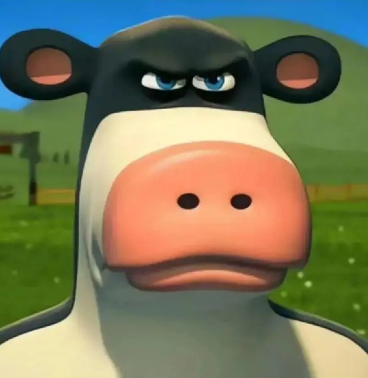 11.PNG