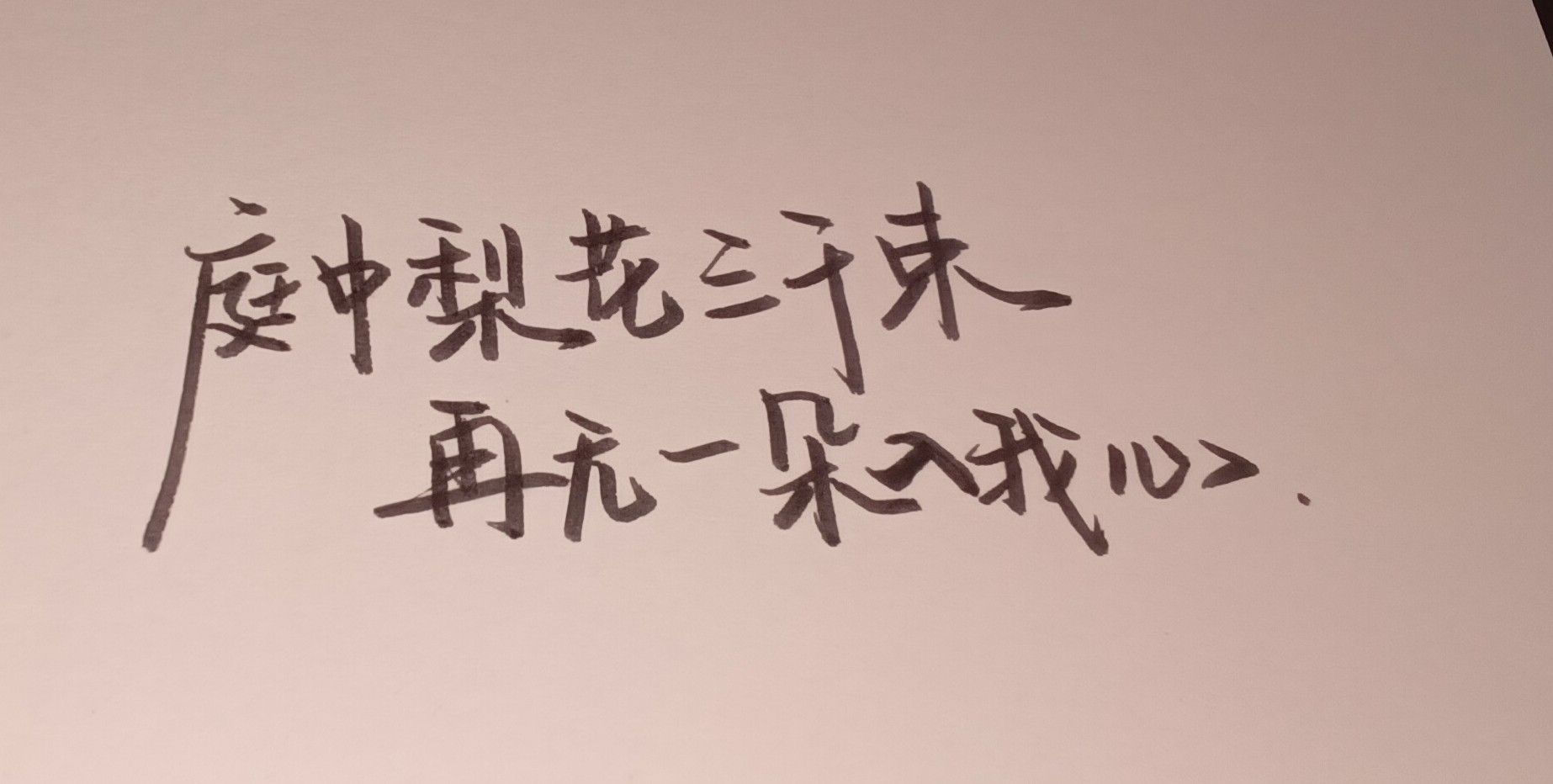 1755075420154.jpg