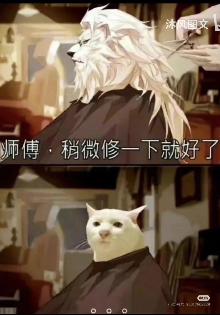 Screenshot_20250729_130919_tv.danmaku.bili_edit_966168495444239.jpg